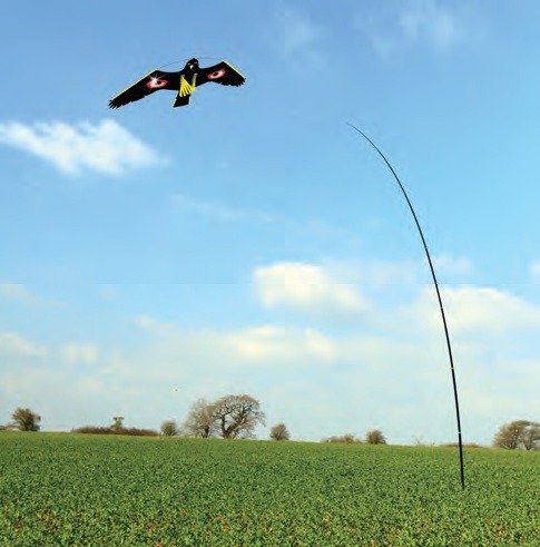 Royal Gardineer Taubenschreck Falke: Vogelschreck Falke zum Aufhängen, 54  cm Flügel-Spannweite (Raubvogel Attrappe gegen Tauben)