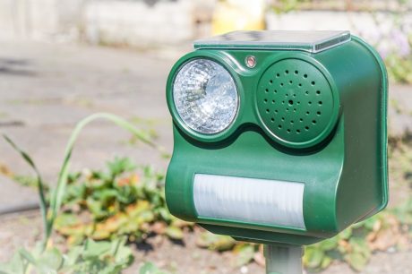 Gerät zur Vogelvergrämung