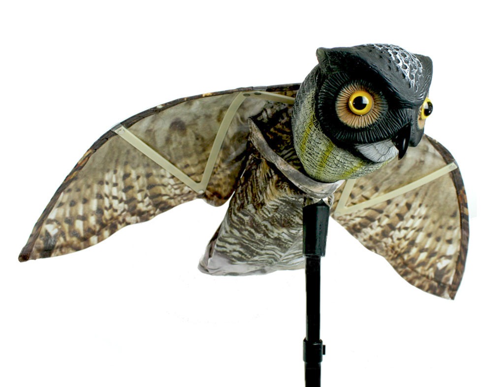 Owl Decoy for Effective Bird Control BIRD BUSTERS