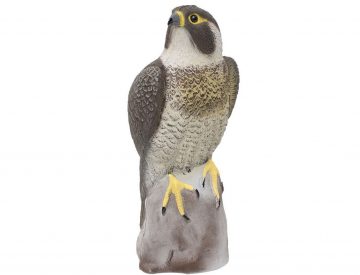 Falcon bird scarer figure