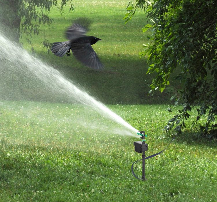 Water Jet Spray for Effective Bird Control BIRD BUSTERS