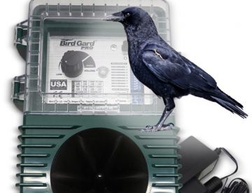 sonic bird control for crow