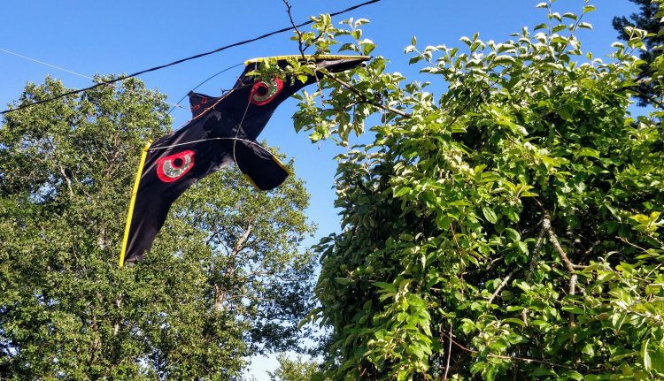 Effektiva Metoder för att Hålla Fåglar Borta från 8 bird scarer kite