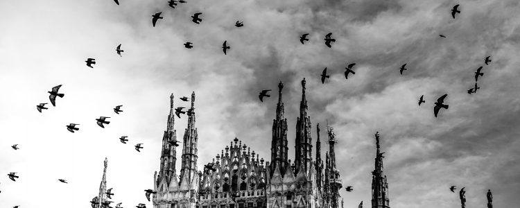 5 huvudsakliga misstag som görs när man köper en fågelskrämma 6 birdbusters.eu 3