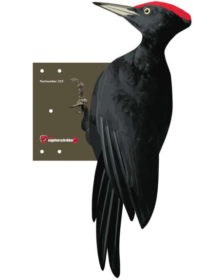 Black Woodpecker Repellent
