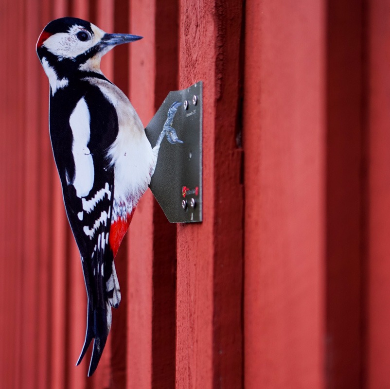 BirdBusters Woodpecker Deterrent kit Scare Away Woodpeckers! 
