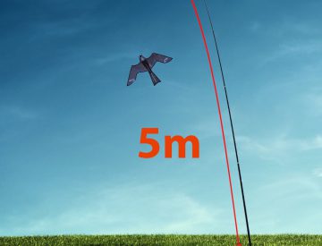 Raubvogel-Drache und Teleskopmast (5m)