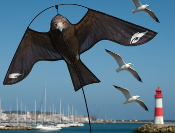 Bird deterrent kite flying above a harbor, effectively scaring seagulls away from the area.