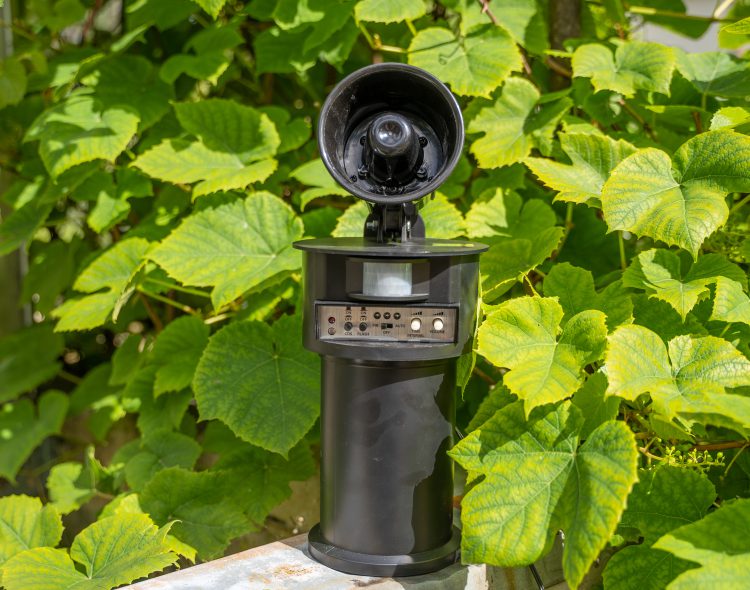 Super Birdchaser Plus for Bird Control | BIRD BUSTERS