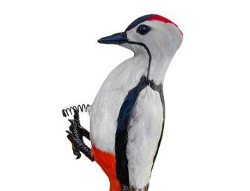 Feathered woodpecker deterrent