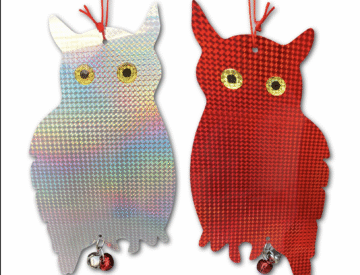 Reflective owl