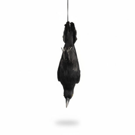 hanging crow decoy