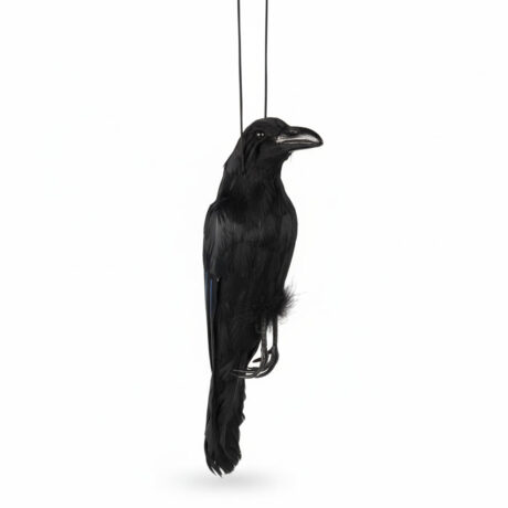 Feathered Crow Decoy