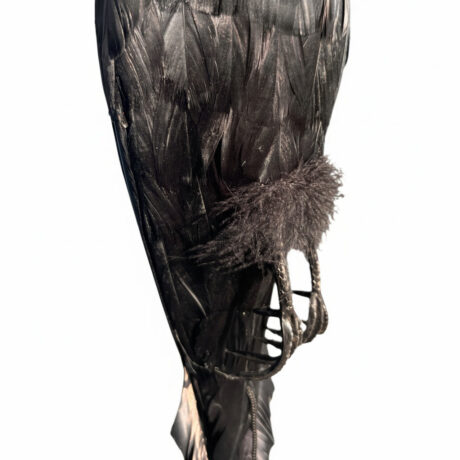 Feathered Crow Decoy