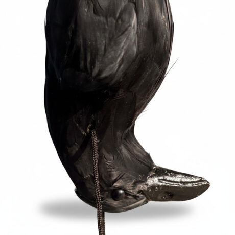 crow decoy head