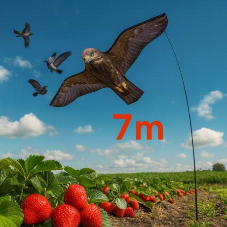 Eagle kite flying on a 7-meter pole protecting crops from birds