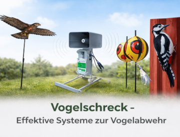 Vogelschreck